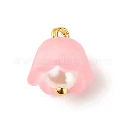 Transparent Acrylic Charms&nbsp;PALLOY-JF01603-01