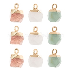 6Pcs 3 Style Electroplate Natural Gemstone Charms&nbsp;G-FS0001-39