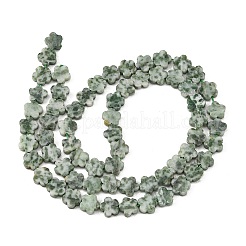 Natural Green Spot Jasper Beads Strands&nbsp;G-B138-C24-01
