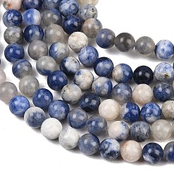 Natural Sodalite Beads Strands&nbsp;G-S279-10-8mm