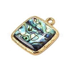 304 Stainless Steel & Natural Paua Shell Pendants&nbsp;SH-CBA7184-01G-G