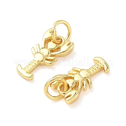 Brass Pendants&nbsp;KK-I355-10G