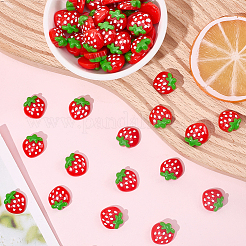 60Pcs Resin Decoden Cabochons&nbsp;CRES-SC0003-15