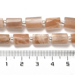 Natural Sunstone Beads Strands&nbsp;G-N327-06-12