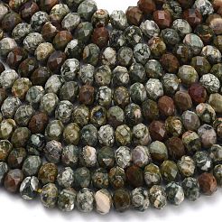 Natural Rhyolite Jasper Beads Strands&nbsp;G-Z111-A14-01