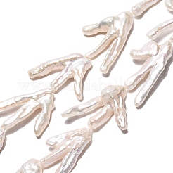 Natural Baroque Keshi Pearl Beads Strands&nbsp;PEAR-S020-Y03