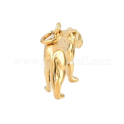 Brass Pendants&nbsp;KK-CBA855A-01G-03