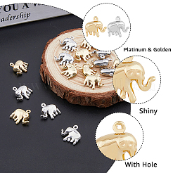 20Pcs 2 Color Brass Charms&nbsp;KK-HY0001-42