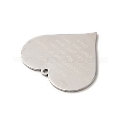 Non-Tarnish 304 Stainless Steel Pendants&nbsp;STAS-D048-02P