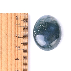 Natural Indian Agate Cabochons&nbsp;PW-WG8E62B-01