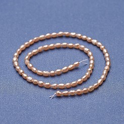Natural Cultured Freshwater Pearl Beads Strands&nbsp;PEAR-P060-17-01
