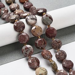 Natural America Picture Jasper Beads Strands&nbsp;G-NH0004-035