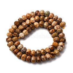 Natural Picture Jasper Beads Strands&nbsp;G-P587-D12-02