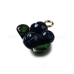 Brass Acrylic Pendants&nbsp;OACR-R006-01G-09