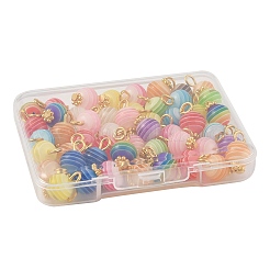 50Pcs Transparent Stripe Resin Charms&nbsp;PALLOY-FS00041-02