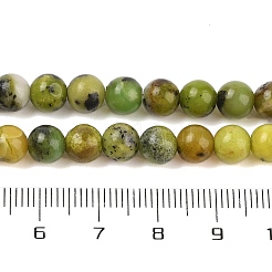 Natural Serpentine Beads Strands&nbsp;G-G829-06-6mm