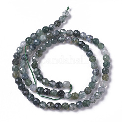 Natural Moss Agate Beads Strands&nbsp;X-G-F596-21-3mm
