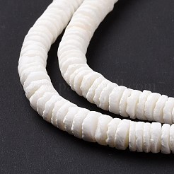 Natural Sea Shell Beads Strands&nbsp;SSHEL-G023-07
