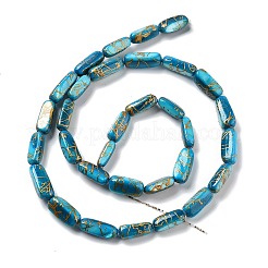 Natural Freshwater Shell Dyed Beads Strands&nbsp;SHEL-D082-18C