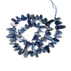 Natural Kyanite/Cyanite/Disthene Beads Strands&nbsp;G-Z091-A22
