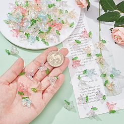 Transparent Acrylic Pendants&nbsp;FIND-SC0009-19