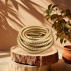 5M Braided Round PU Leather Jewelry Cord&nbsp;OCOR-GF0004-96B-03