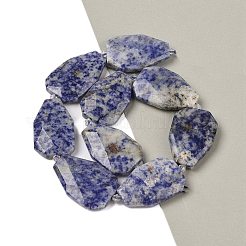 Natural Blue Spot Jasper Beads Strands&nbsp;G-P548-B10-01