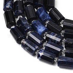 Natural Sodalite Beads Strands&nbsp;G-G453-E06-10x14mm