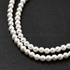 Electroplated Shell Pearl Beads Strands&nbsp;BSHE-K017-2.5mm