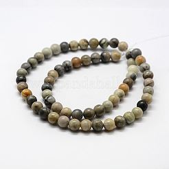 Natural Polychrome Jasper/Picasso Stone/Picasso Jasper Bead Strands&nbsp;G-G735-45-6mm