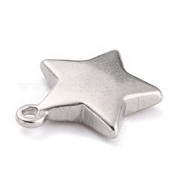 Non-Tarnish 304 Stainless Steel Charms&nbsp;STAS-O145-31B-P