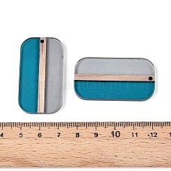 Transparent Resin & Wood Pendants&nbsp;RESI-T057-64A