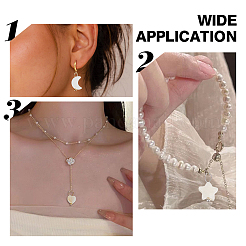 60Pcs 10 Styles Natural Freshwater Shell Pendants&nbsp;PALLOY-HY00106