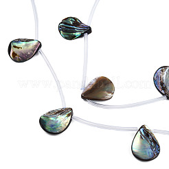 Natural Abalone Shell/Paua Shell Beads Strands&nbsp;SSHEL-N034-160B-01