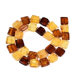 Natural Amber Beads Strands&nbsp;G-N371-15B-01