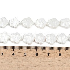 Electroplate Shell Pearl Beads Strands&nbsp;BSHE-Z009-07-01