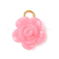 Opaque Acrylic Pendants&nbsp;PALLOY-JF03305-02