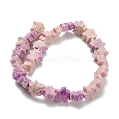 Synthetic Coral Dyed Carved Beads&nbsp;BSHE-H114-02C