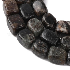 Natural Biotite Beads Strands&nbsp;G-D098-D15