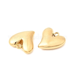 304 Stainless Steel Charms&nbsp;STAS-P441-02G