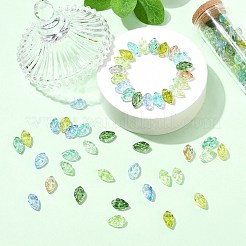 100Pcs Handmade Lampwork Beads&nbsp;LAMP-CJ0002-90
