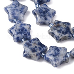 Natural Blue Spot Jasper Beads Strands&nbsp;G-K359-E11