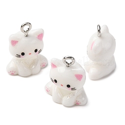 Opaque Resin Pendants&nbsp;X-RESI-Z036-02P
