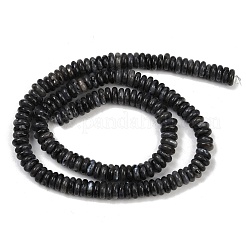 Natural Larvikite Beads Strands&nbsp;G-Q159-B22-01