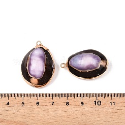 Natural Cowrie Shell Pendants&nbsp;SSHEL-N038-39