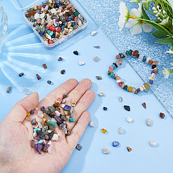 2 Strands Natural & Synthetic Mixed Gemstone Chip Beads Strands&nbsp;G-DC0001-56