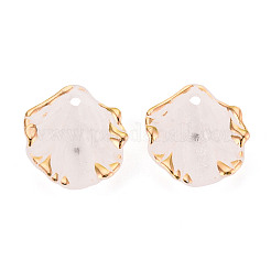 Frosted Plastic Petal Pendants&nbsp;KY-T041-20B