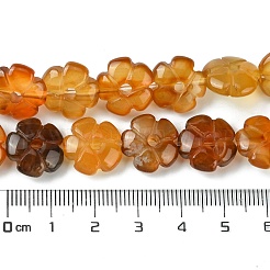 Natural Red Agate Beads Strands&nbsp;G-H023-B21-01
