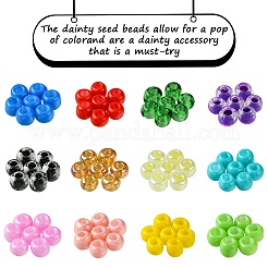 54G 12 Colors Baking Paint & Transparent Glass Seed Beads&nbsp;SEED-FS0001-19