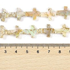 Drawbench Style Natural Freshwater Shell Beads Strands&nbsp;BSHE-G036-01